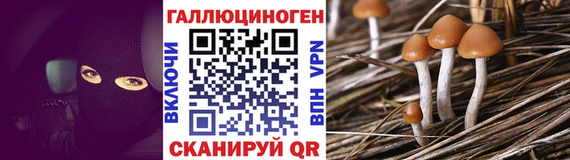 где найти наркотики  Череповец  Галлюциногенные грибы мухоморы 