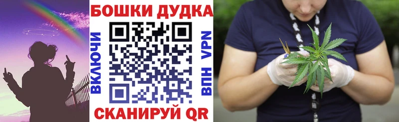 где купить наркотик  Череповец  ОМГ ОМГ зеркало  МАРИХУАНА ГИДРОПОН 